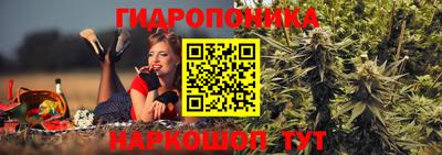 крисы Чапаевск