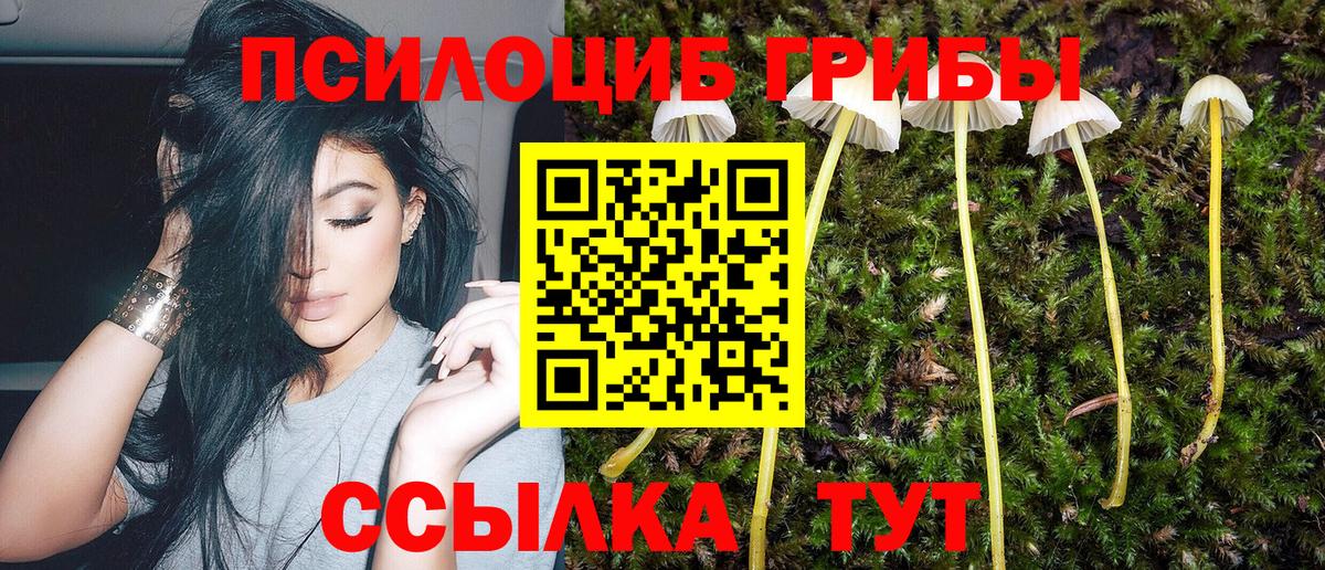 Галлюциногенные грибы Magic Shrooms Нефтекамск